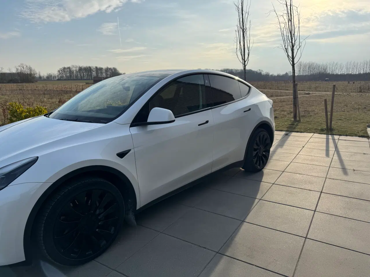 Billede 2 - Tesla Model Y LR Camping Edition