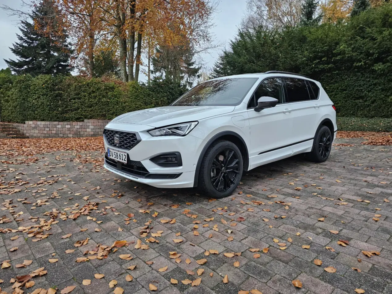 Billede 1 - Seat tarraco