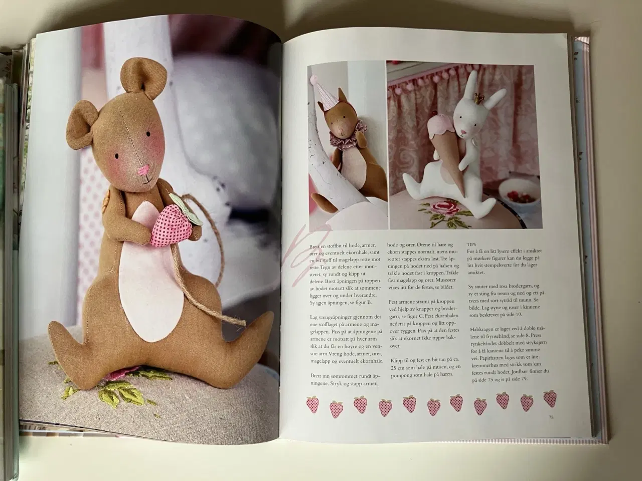 Billede 6 - Tildas landsted. Av Tone Finnanger (Norsk)