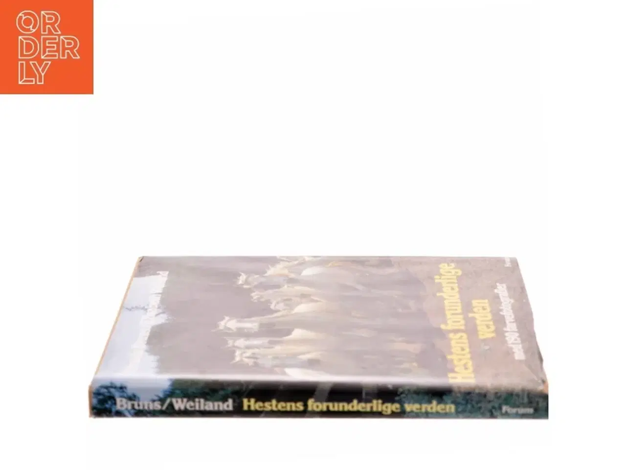 Billede 2 - Hestens forunderlige verden af Ursula Bruns (Bog)
