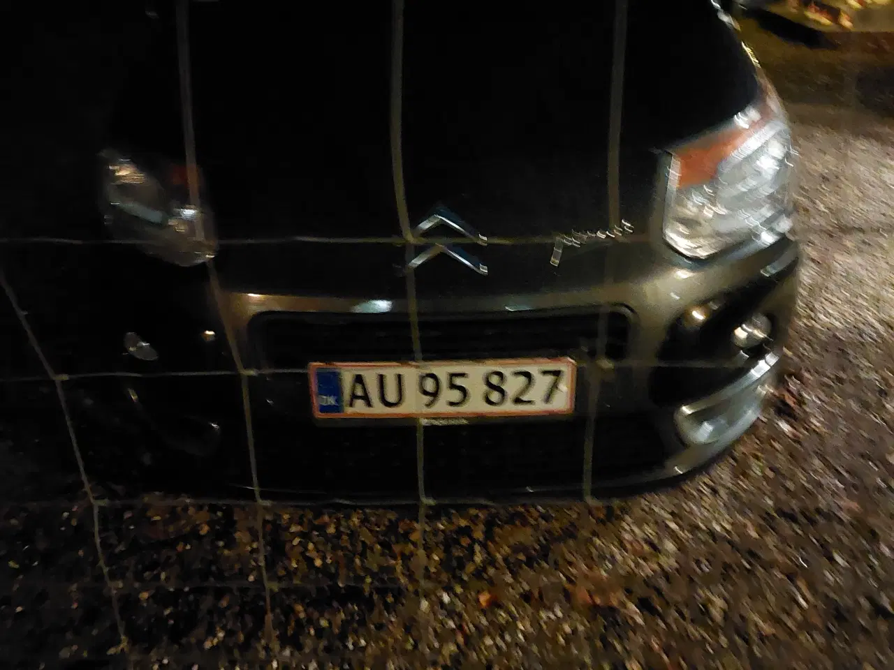 Billede 1 - Picasso c3