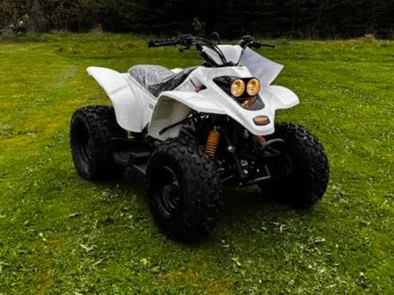 Billede 2 - Smc 100cc Sport uden baggear 