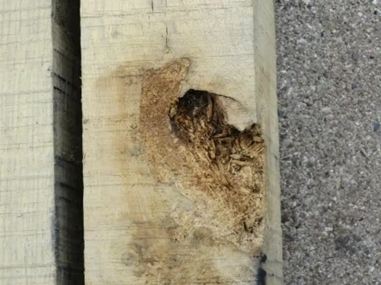 Billede 2 - Egetræsstolper 100x100 mm