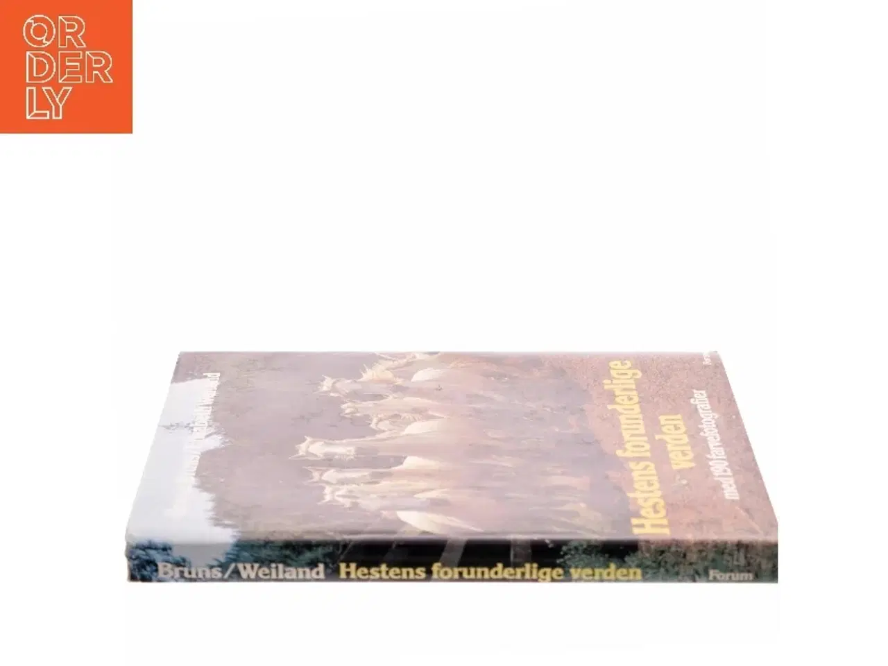 Billede 2 - Hestens forunderlige verden (Bog)