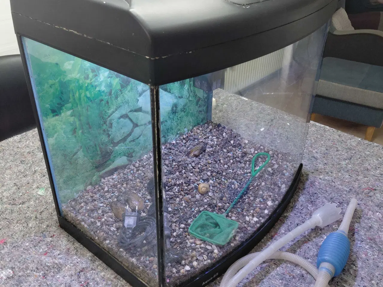 Billede 2 - Akvarier 60L 