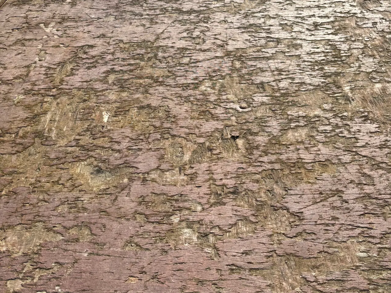 Billede 3 - Boogietrailer.