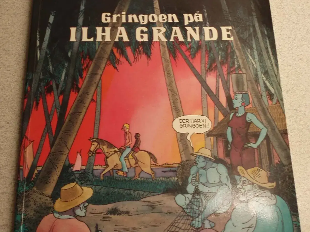 Billede 1 - Gringoen på Ilha Grande