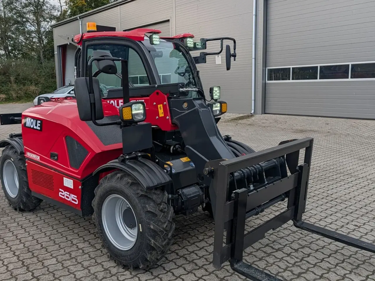 Billede 10 - MOLE 2615