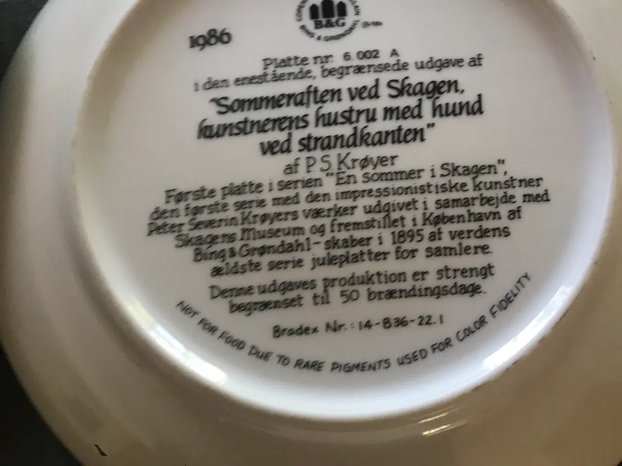 Billede 3 - P.S Krøyer s Skagensplatter