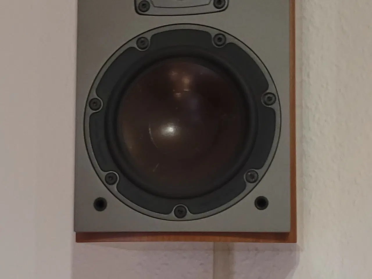 Billede 5 - Dali Mentor 1 Væg Højttaler med stor Lyd