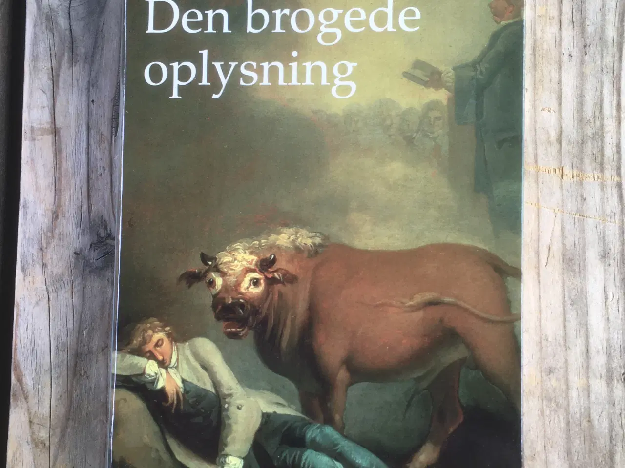 Billede 1 - Den brogede oplysning, Thomas Bredsdorff