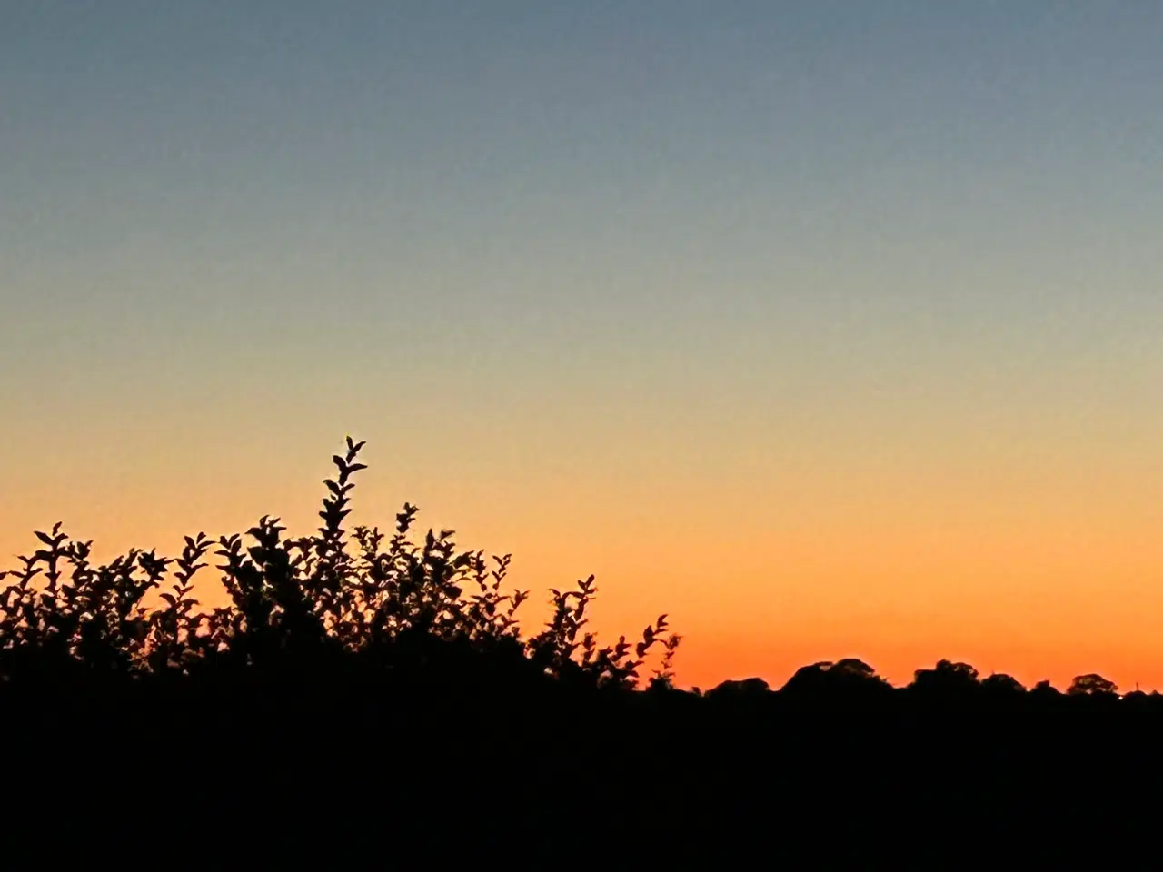 Billede 12 - Villa, Tandslet, fra 2006, 161 kvm. 5 værelser