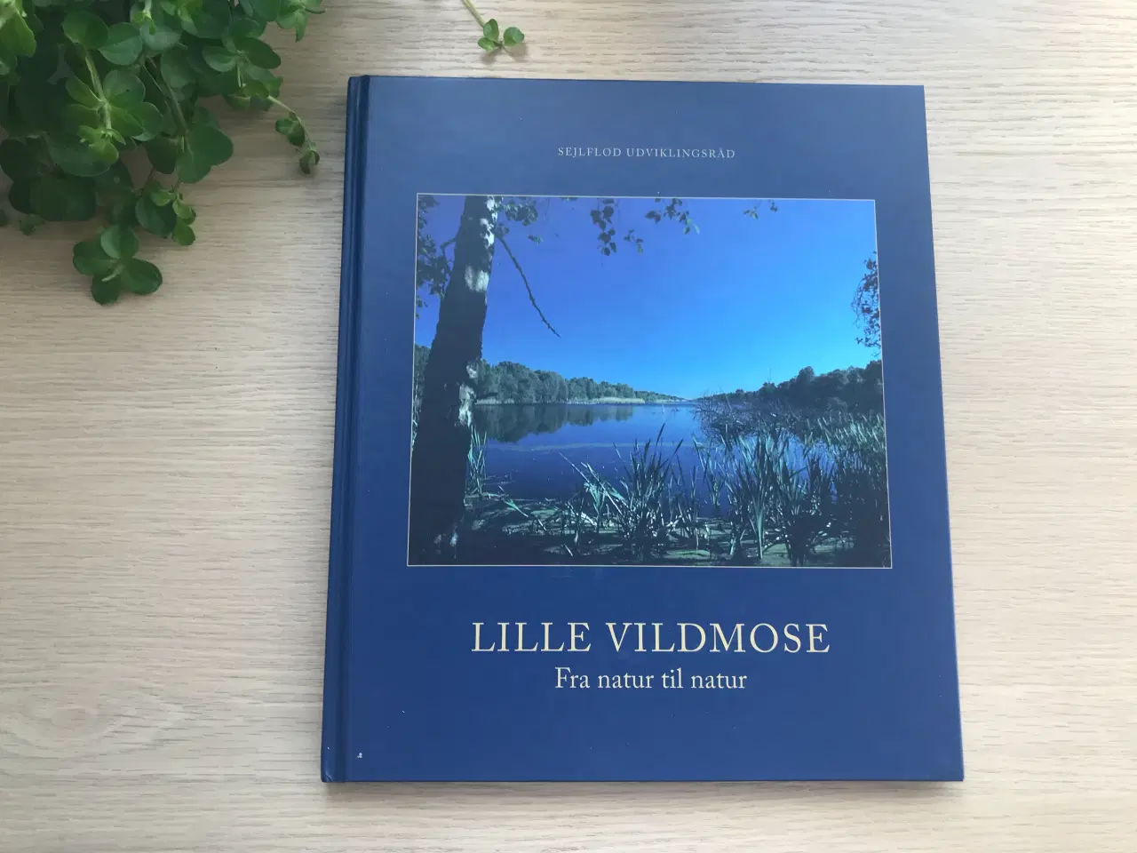 Billede 1 - Lille Vildmose   Fra natur til natur 