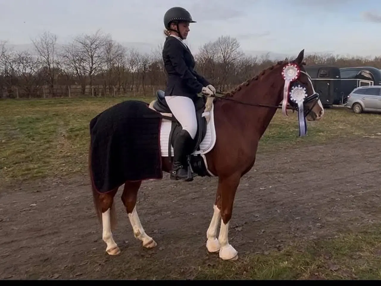 Billede 4 - Pony med Wow effekt