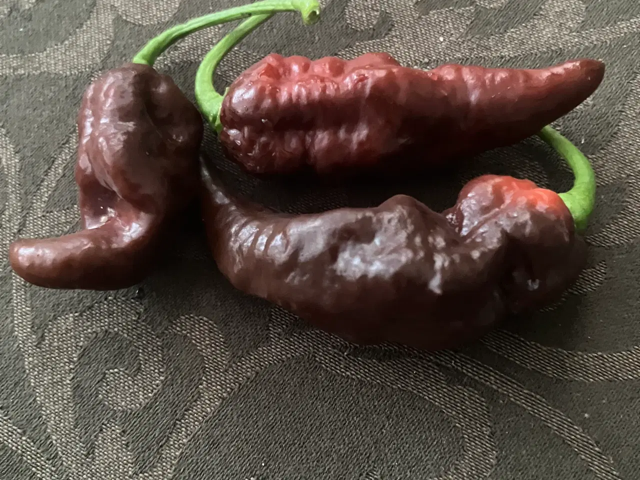 Billede 3 - chili frø - se tekstfelt