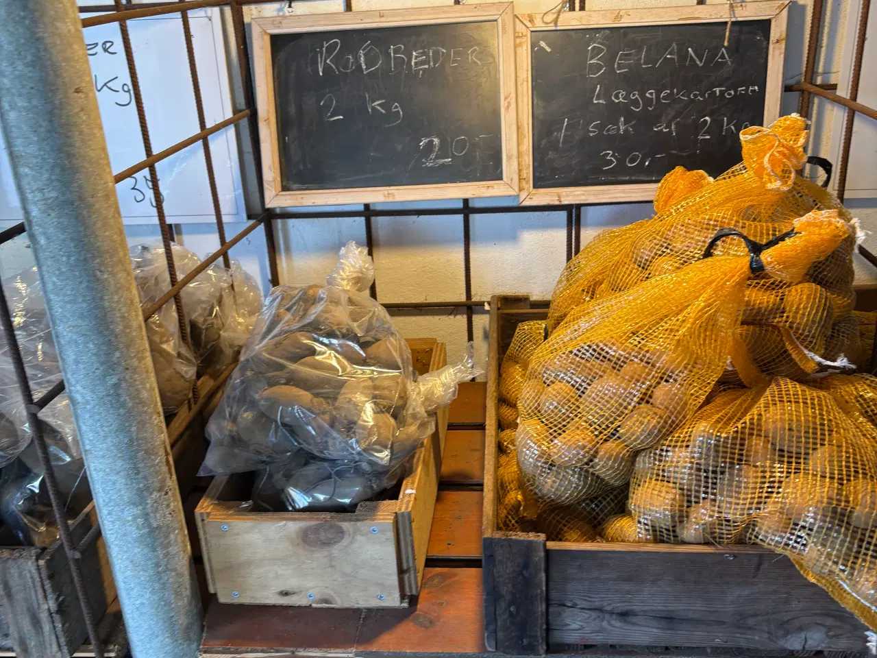 Billede 2 - Lægge kartofler SOLIST