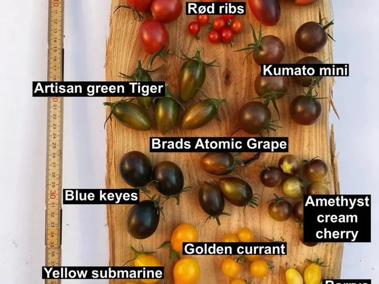Billede 3 - Tomatfrø - mange spændende forskellige