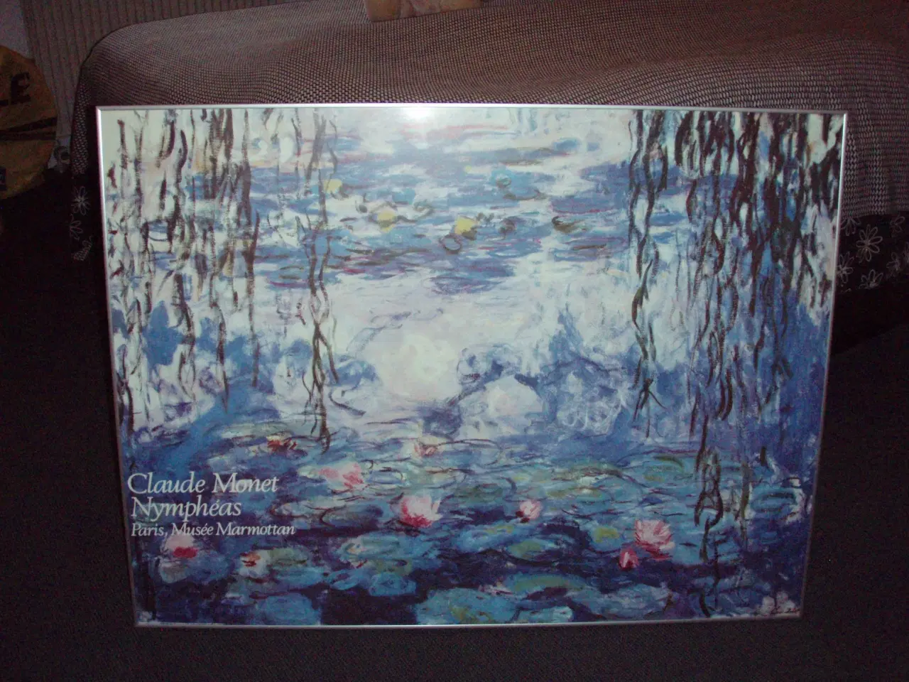 Billede 1 - Claude Monet Åkander.