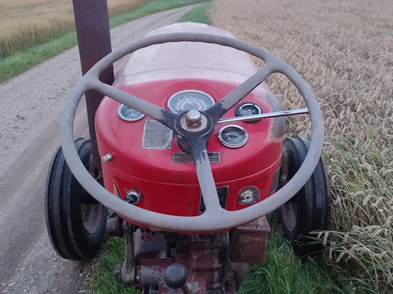 Billede 6 - Massey Ferguson 65 i utrolig fin original stand