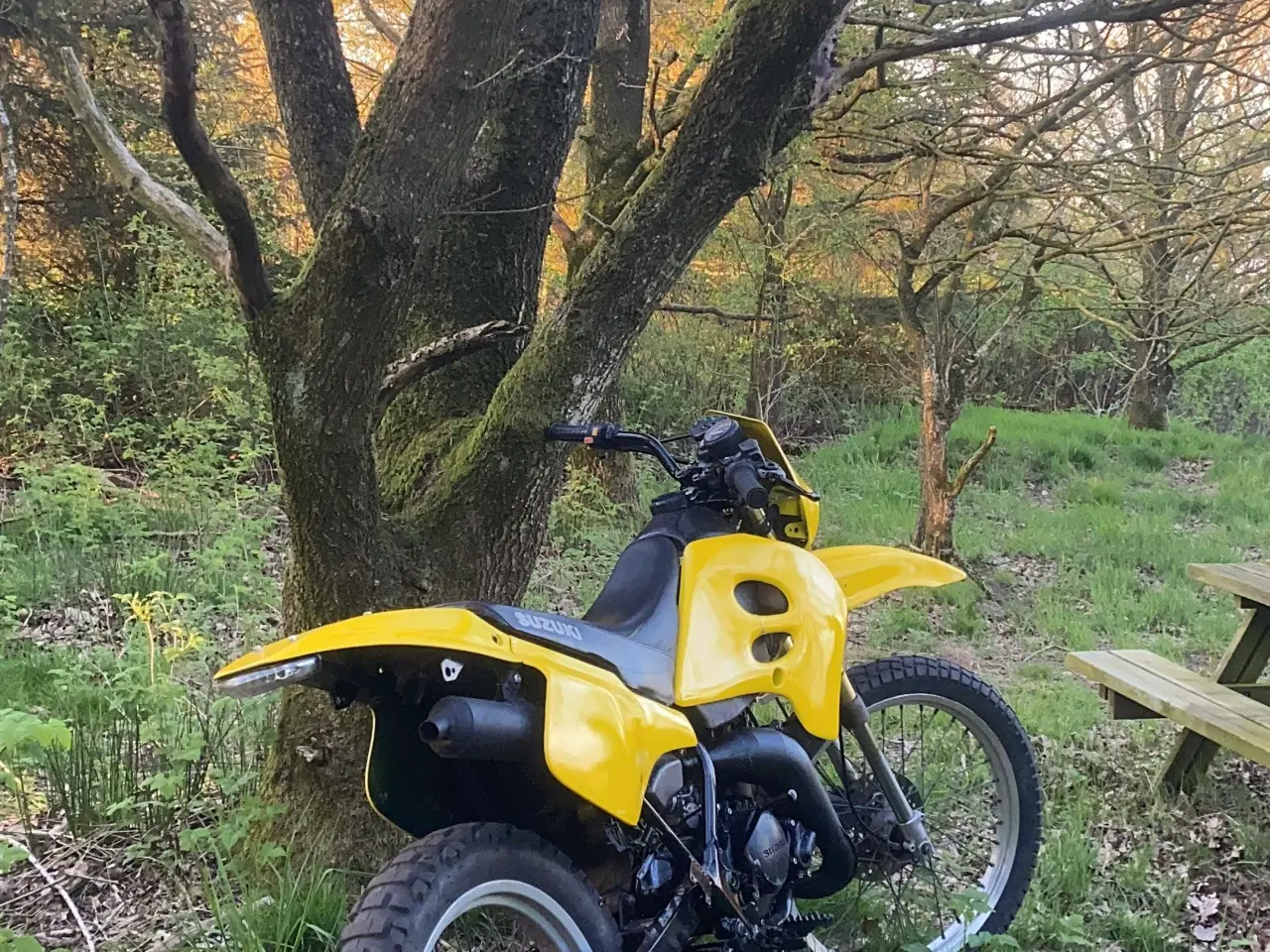 Billede 2 - Suzuki rmx 50