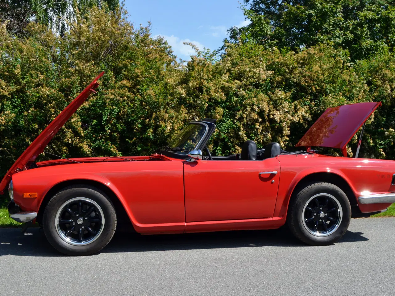 Billede 5 - TRIUMPH TR 6. 2,5. Roadster 1970