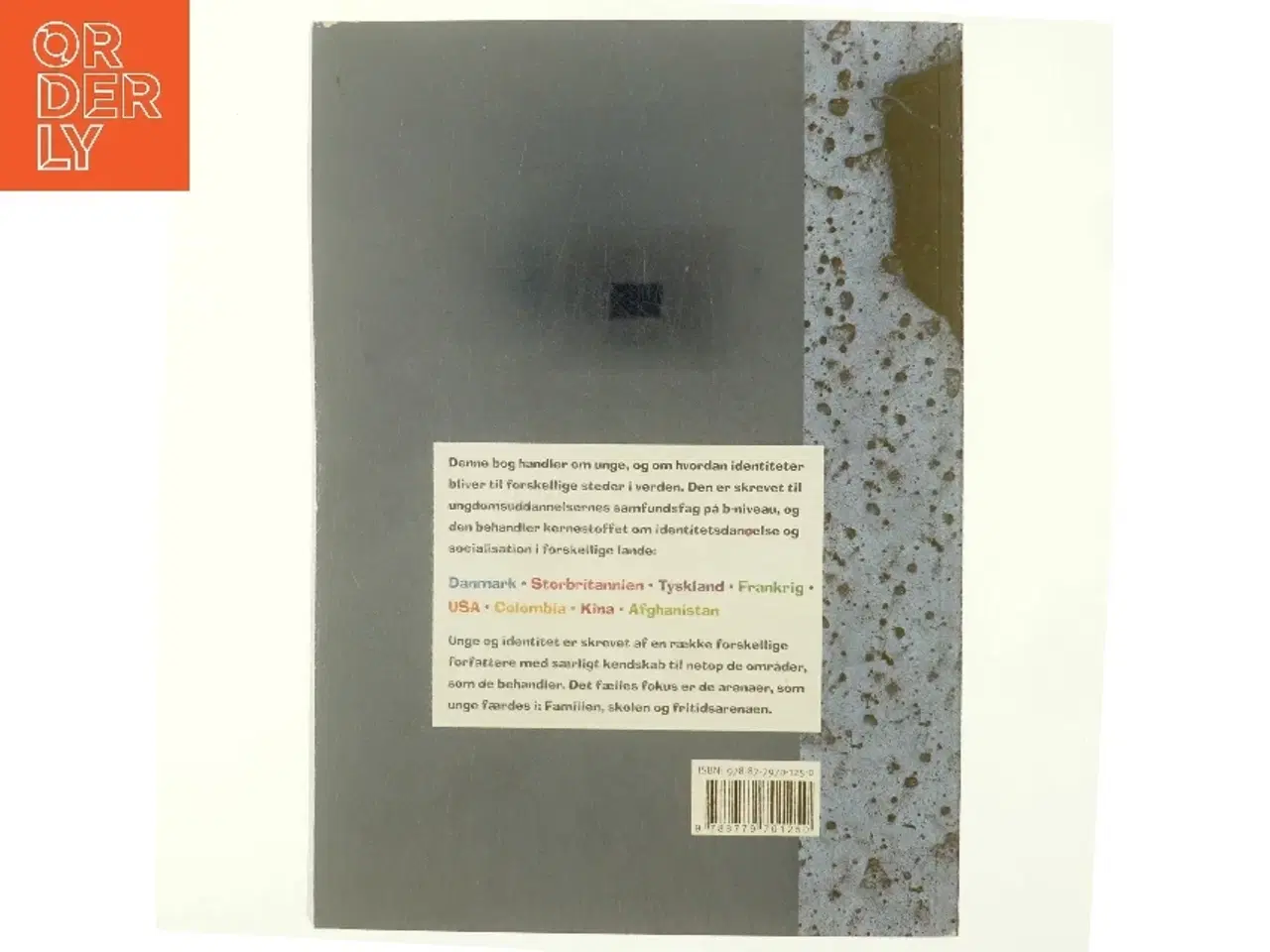 Billede 3 - Unge og identitet : socialisation i otte forskellige lande af Birgitte Prytz Clausen (Bog)