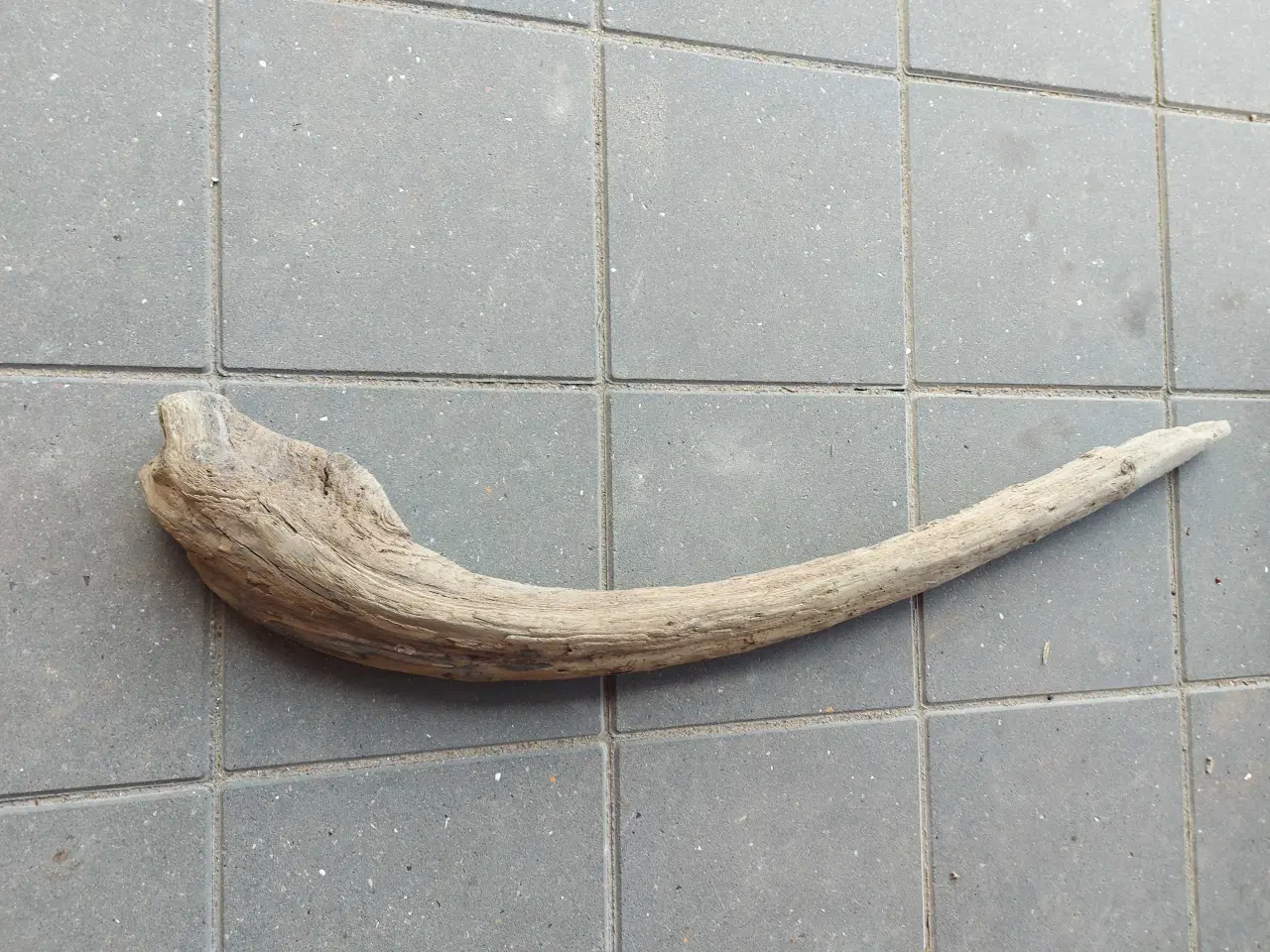 Billede 1 - Drivtømmer, flot buet stykke på 1 meter