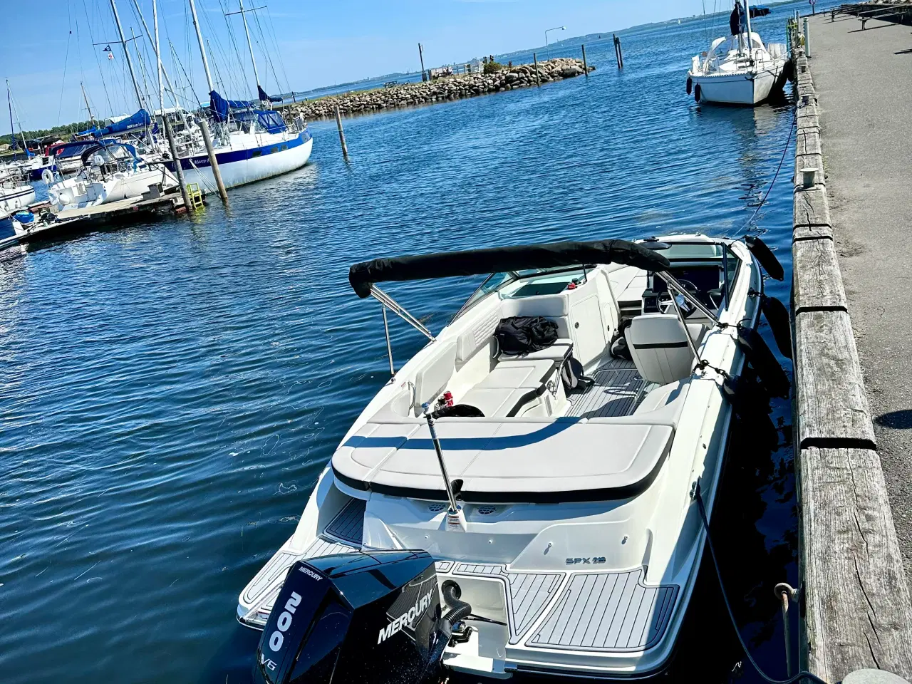 Billede 8 - SeaRay SPX 210