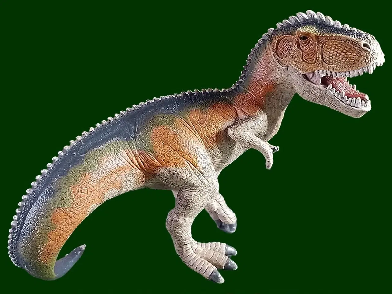 Billede 1 - Schleich 14543 Giganotosaurus Orange (2015)