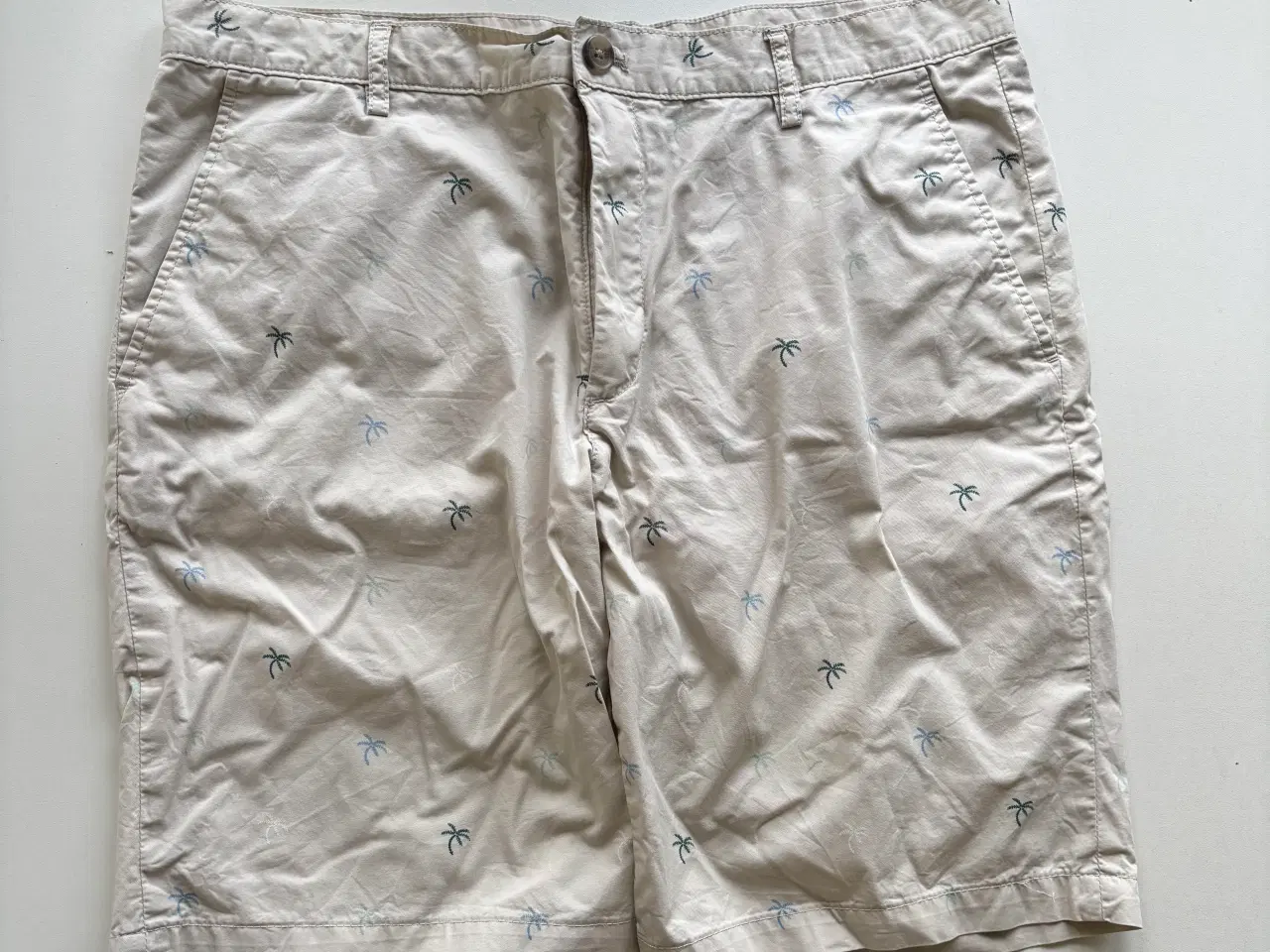 Billede 1 - Shorts (herre)