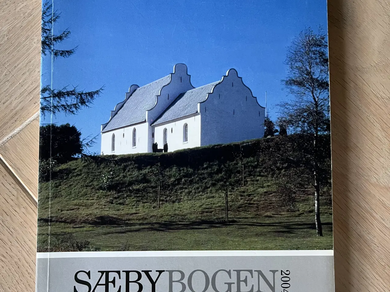 Billede 1 - Sæby bogen 2004