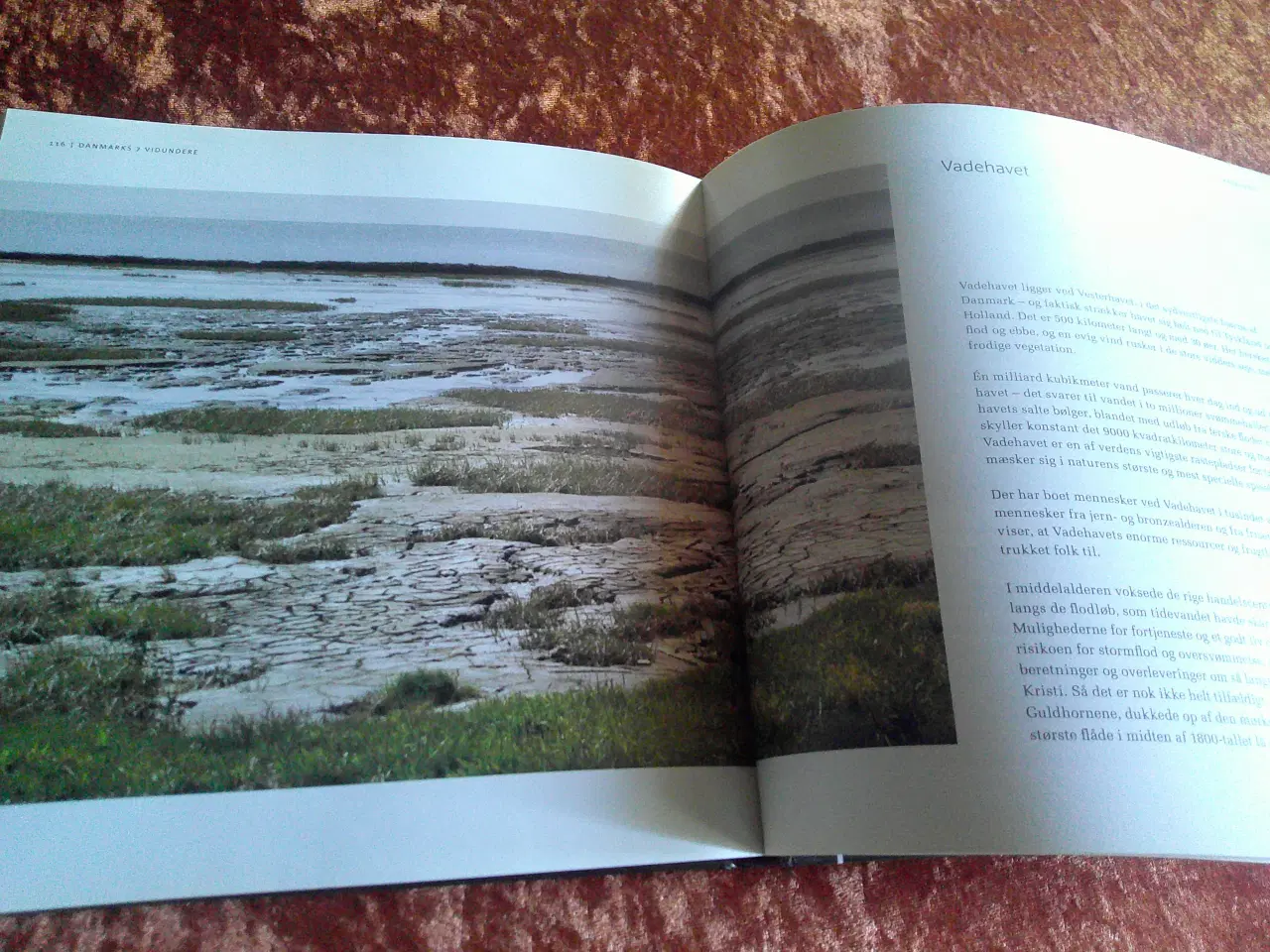 Billede 3 - Danmarks 7 vidundere, Dorthe Boss Kyhn,