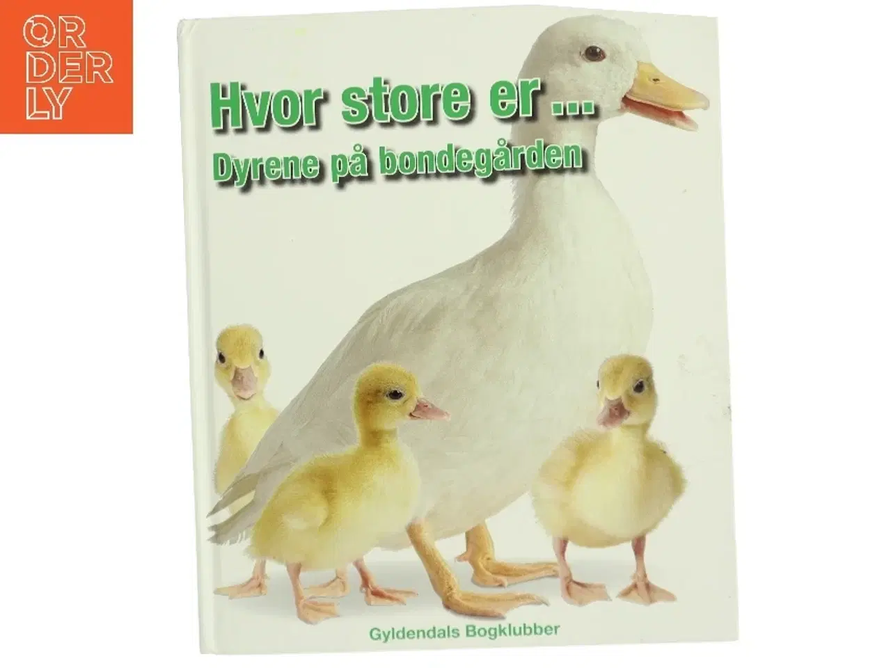 Billede 1 - Hvor store er - dyrene på bondegården af Marie Greenwood (Bog)