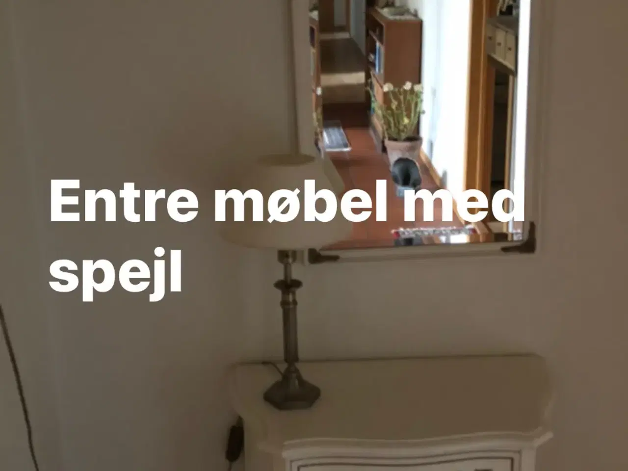 Billede 1 - Entré møbel med spejl