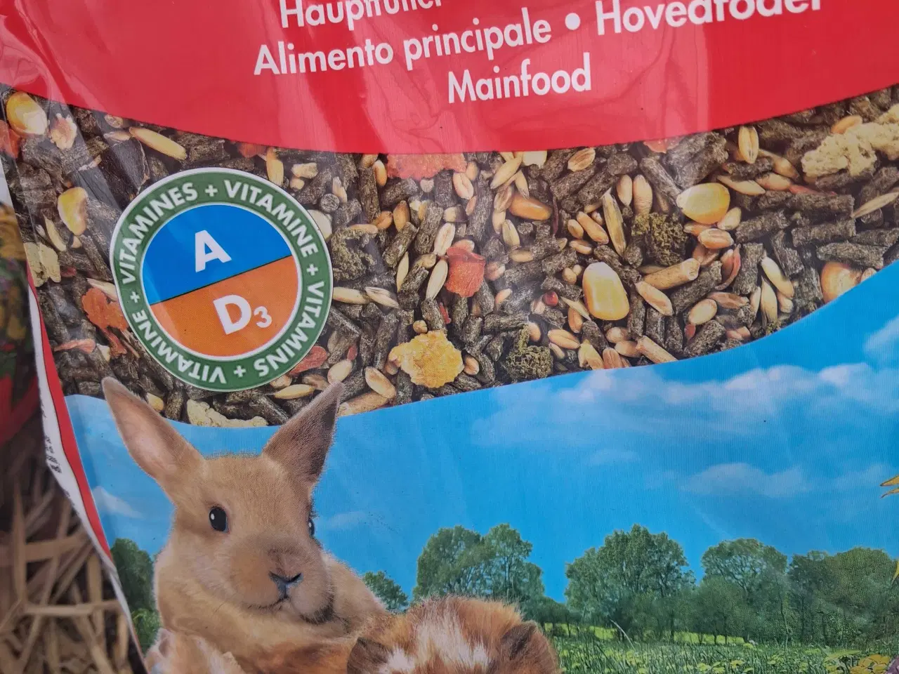 Billede 4 - Sød og rolig kanin