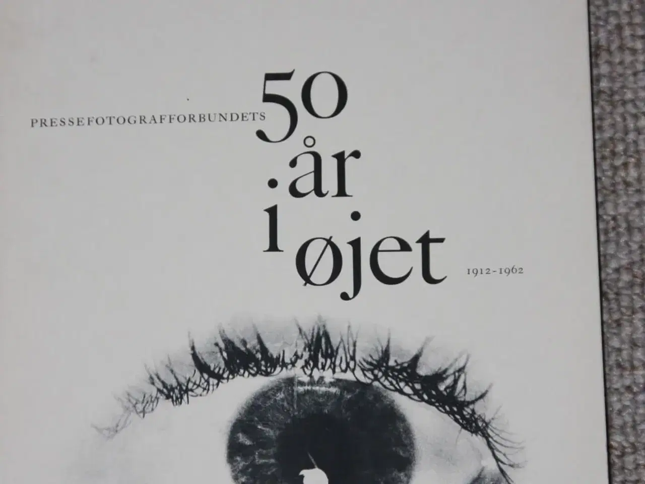 Billede 2 - 50 år i øjet Pressefotografforbundet