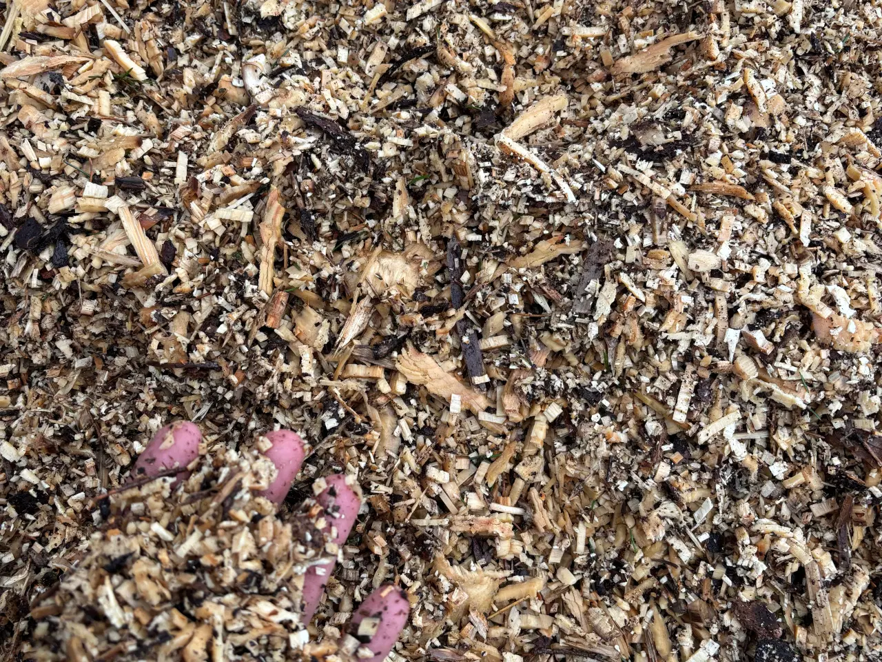 Billede 7 - Flishugger