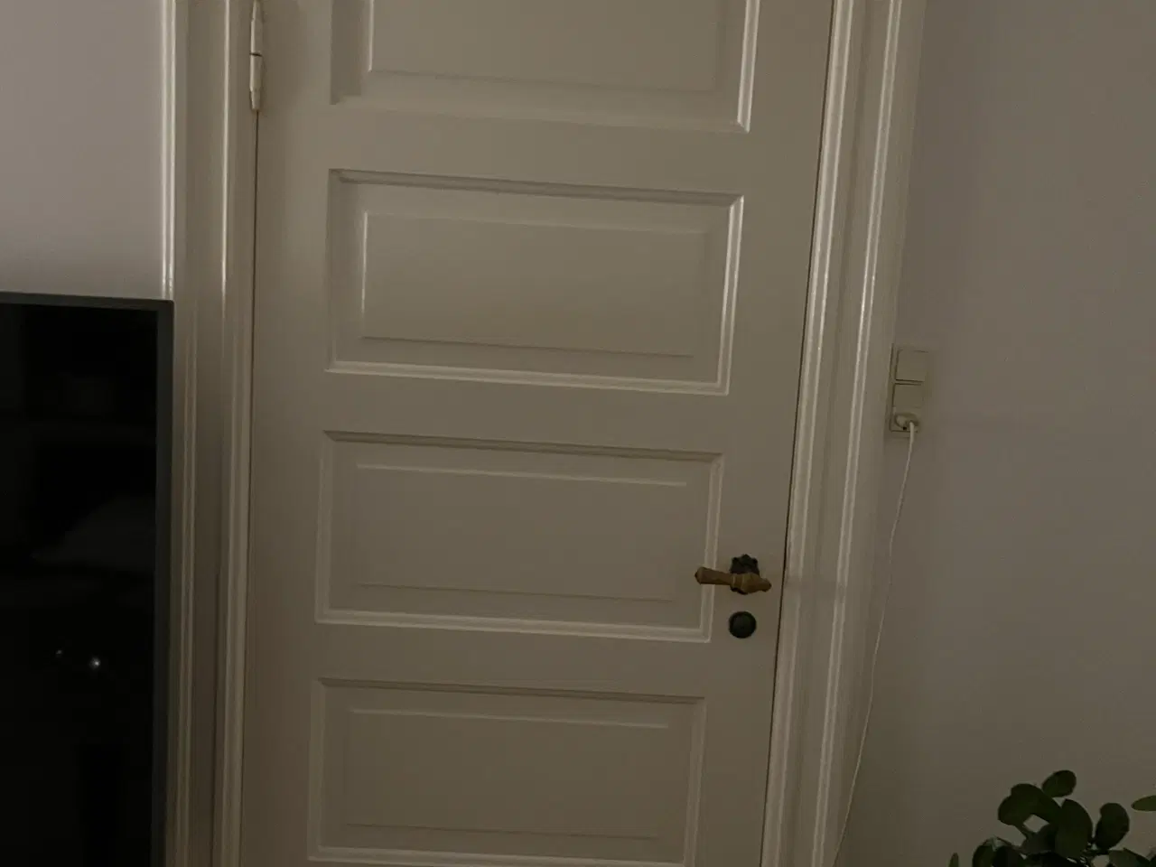 Billede 2 - Dør med geriater fra 1931