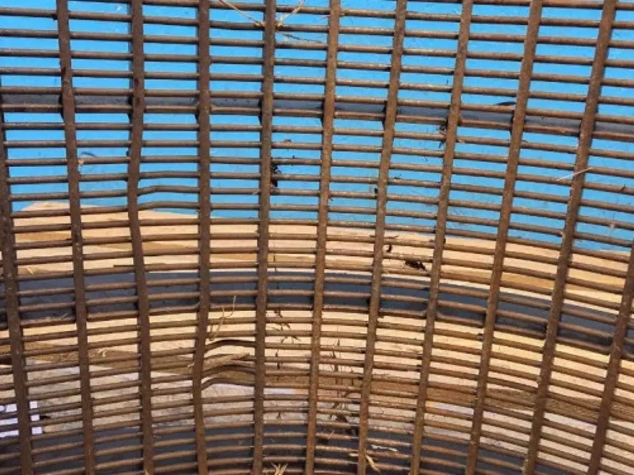 Billede 10 - Case 8010 Tærskebro L. 84182108