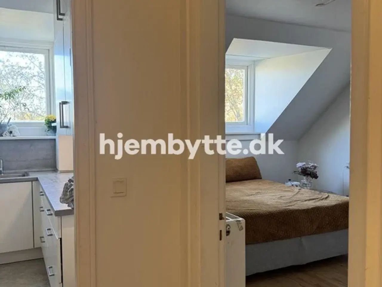 Billede 9 - Hjembytte - Buskager