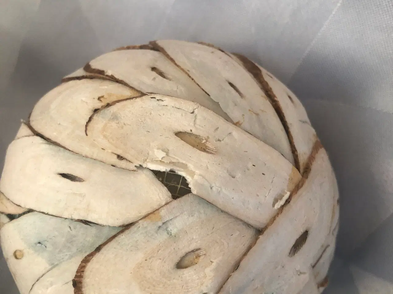 Billede 14 - 2 deco kugler med blade og et bundt med små pinde