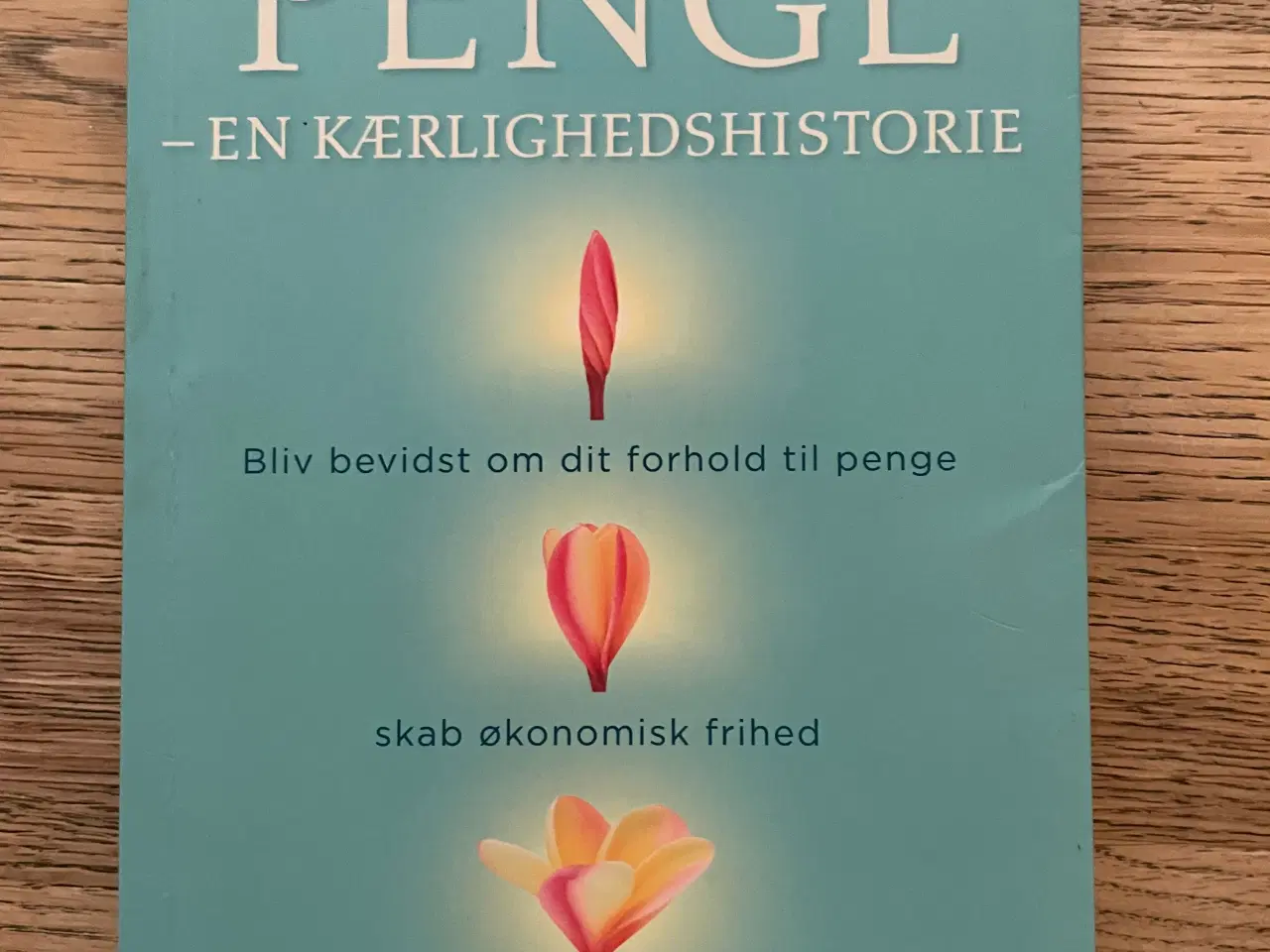 Billede 1 - Penge - En kærlighedshistorie, Kate Northrup