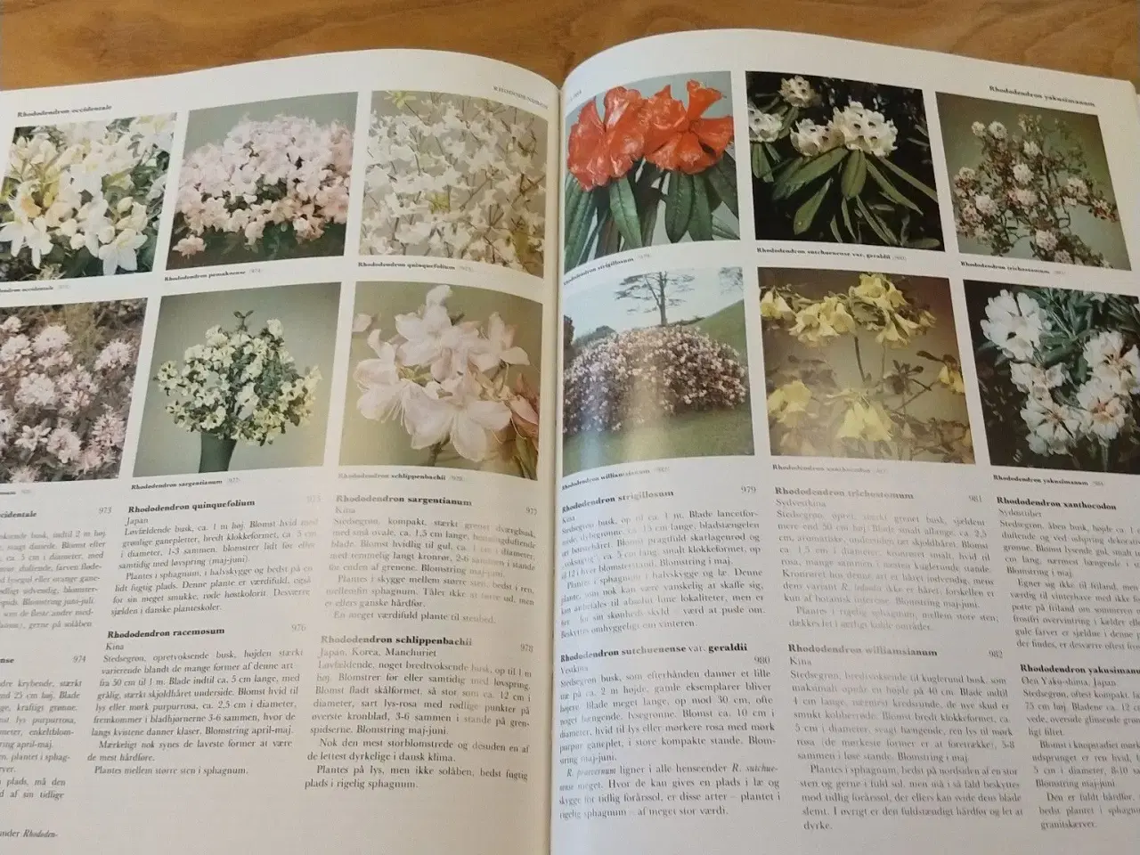 Billede 3 - Lademanns blomsteratlas