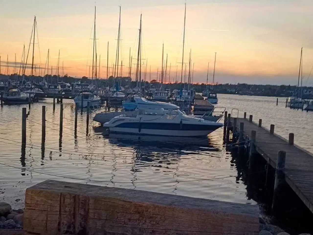 Billede 3 - Finnmaster 6800 wa