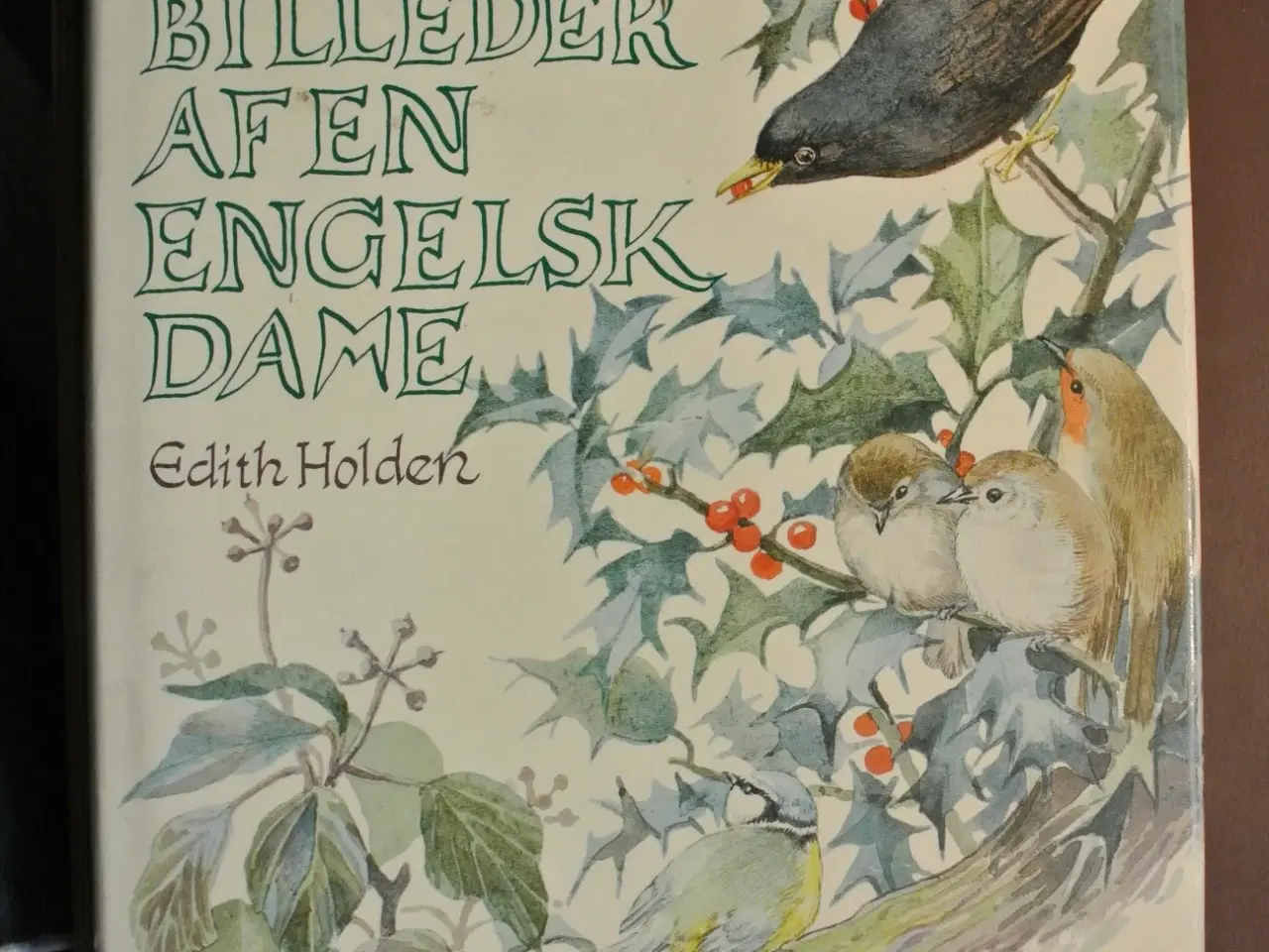 Billede 1 - naturbilleder af en engelsk dame år 1905, af edith