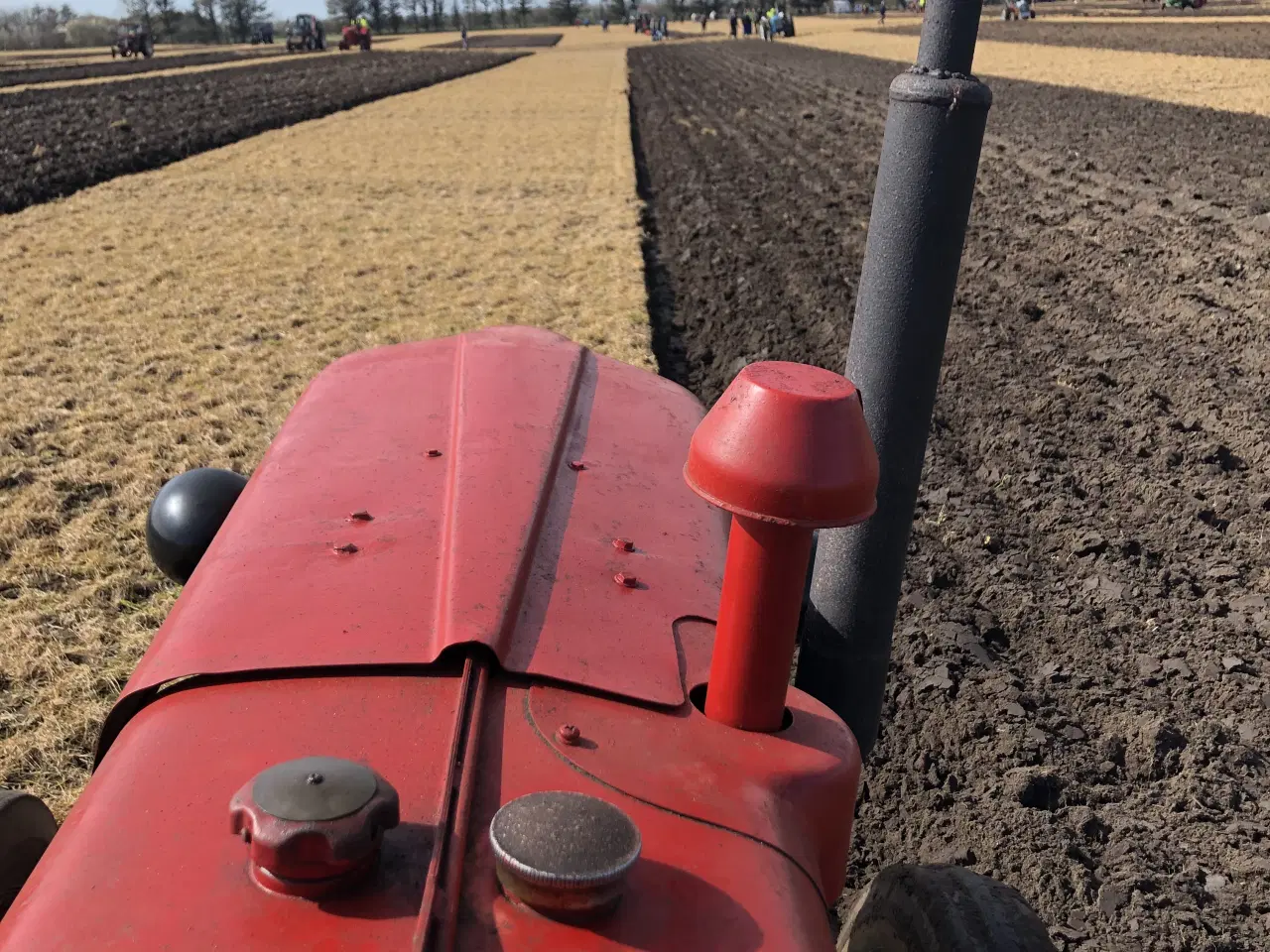 Billede 5 - Buster 320