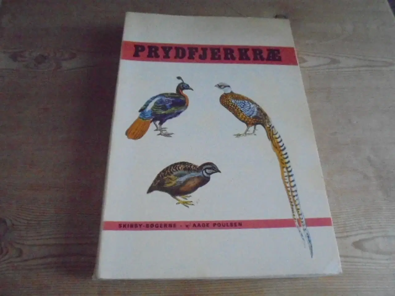 Billede 1 - Prydfjerkræ – se fotos og omtale  