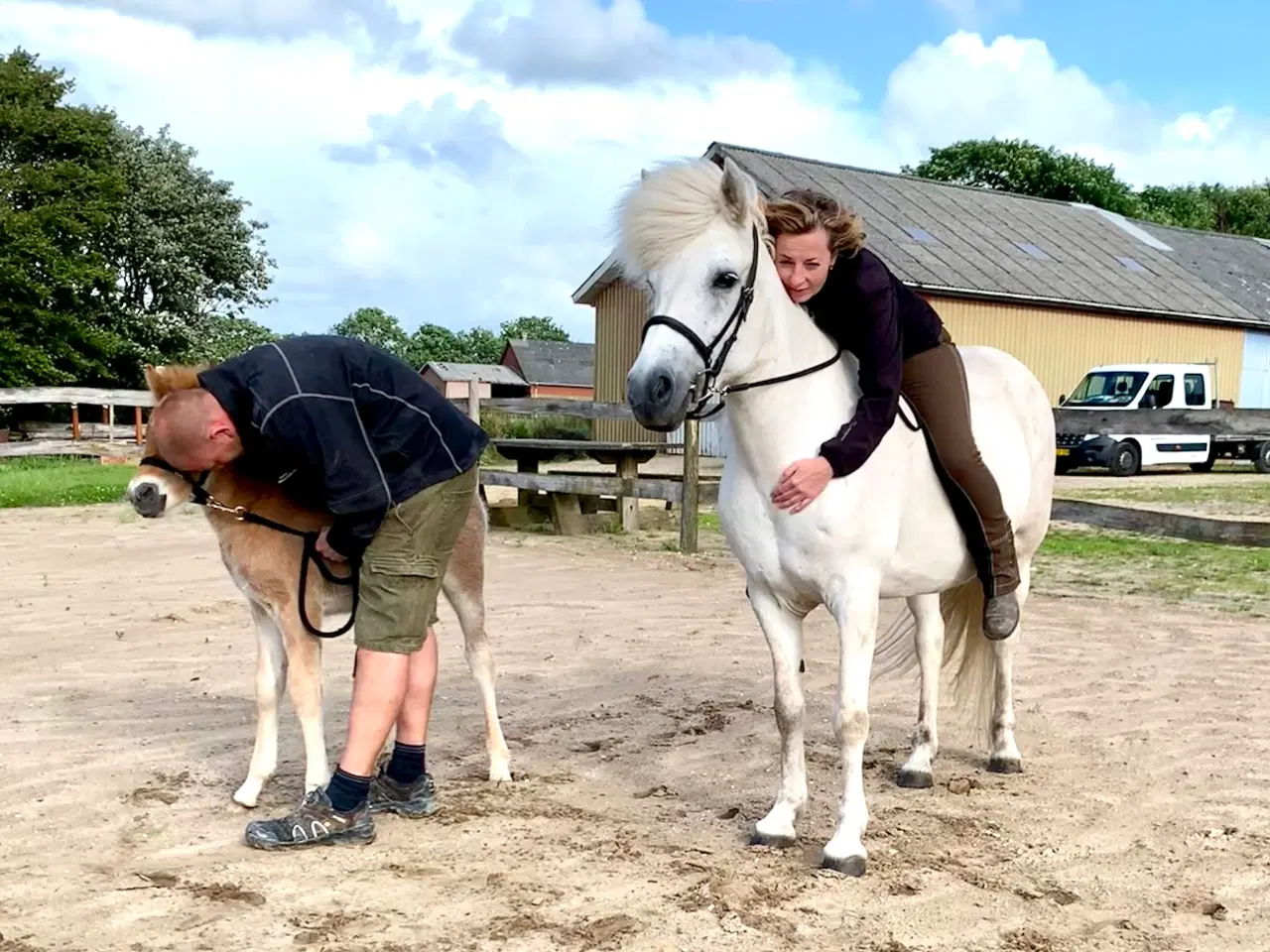 Billede 15 - Smuk islændervallak
