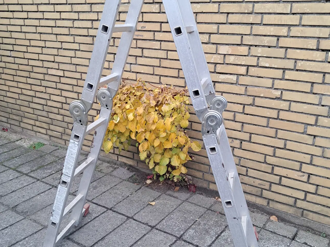 Billede 4 - Stige - multistige