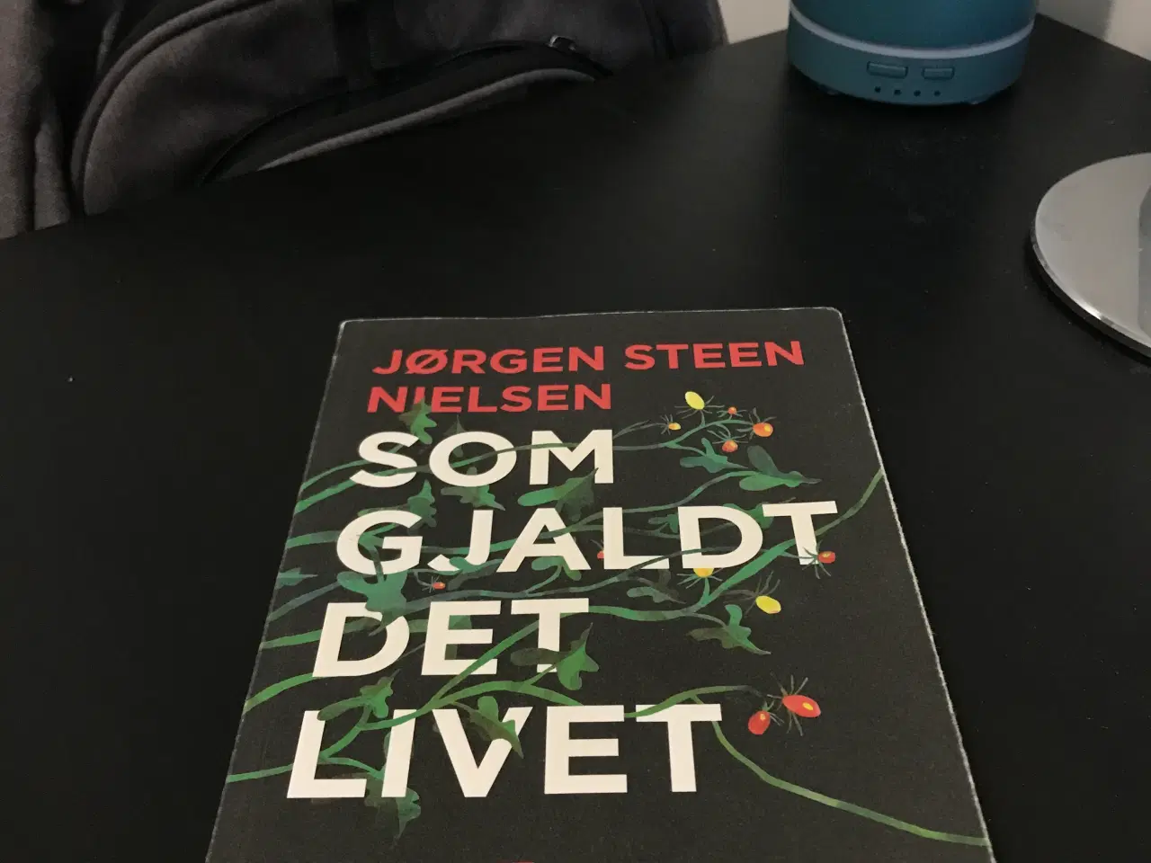 Billede 2 - Som Gjaldt Det Livet - Til Den Nye Klimabevægelse